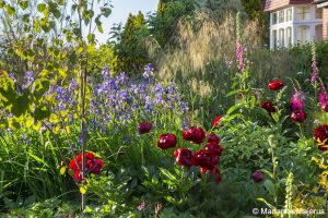 Front Garden — 1280172 300x200 1