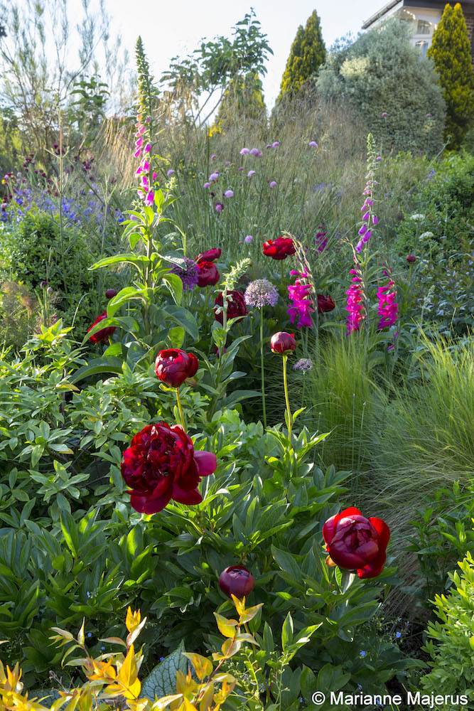 Front Garden — 1280190