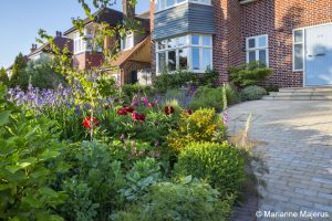 Front Garden — 1280191 300x200 1