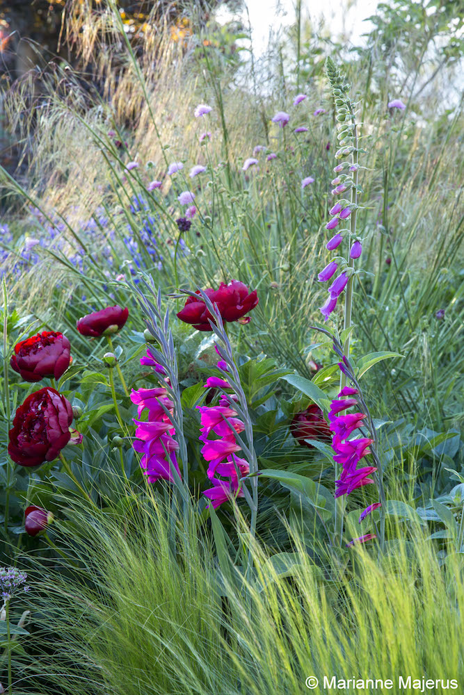 Front Garden — 1280223