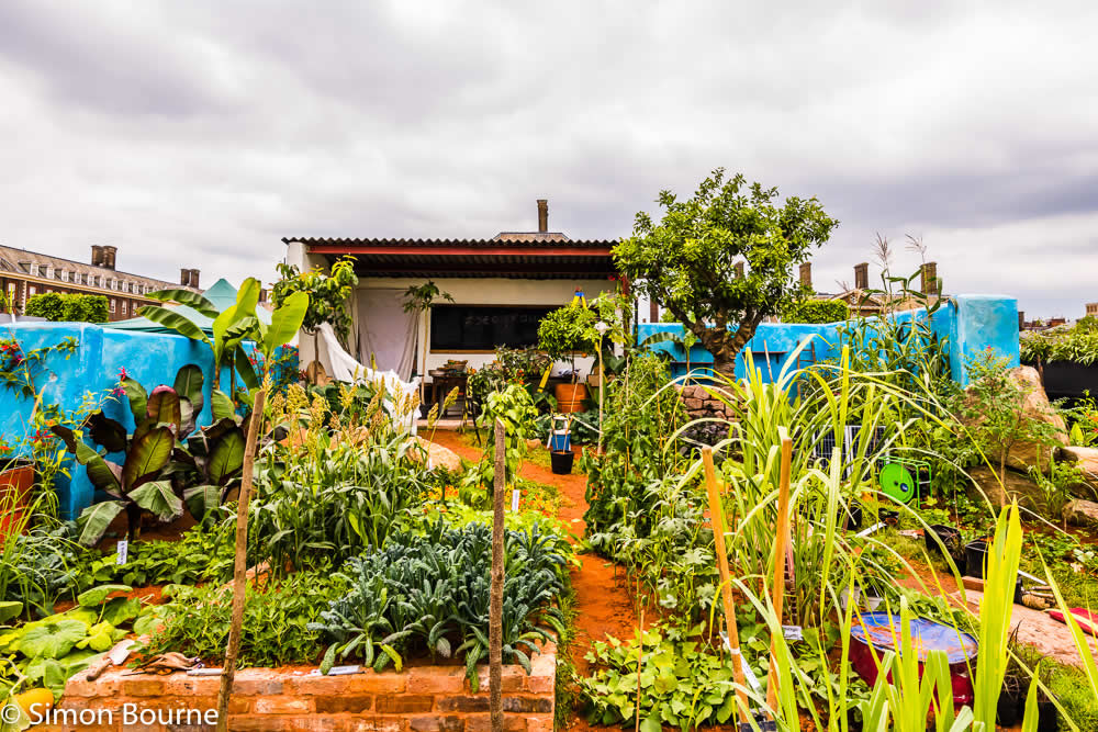 RHS Garden Chelsea Flower Show 2019 — CAMFED Garden 01 Chelsea Build Day 15