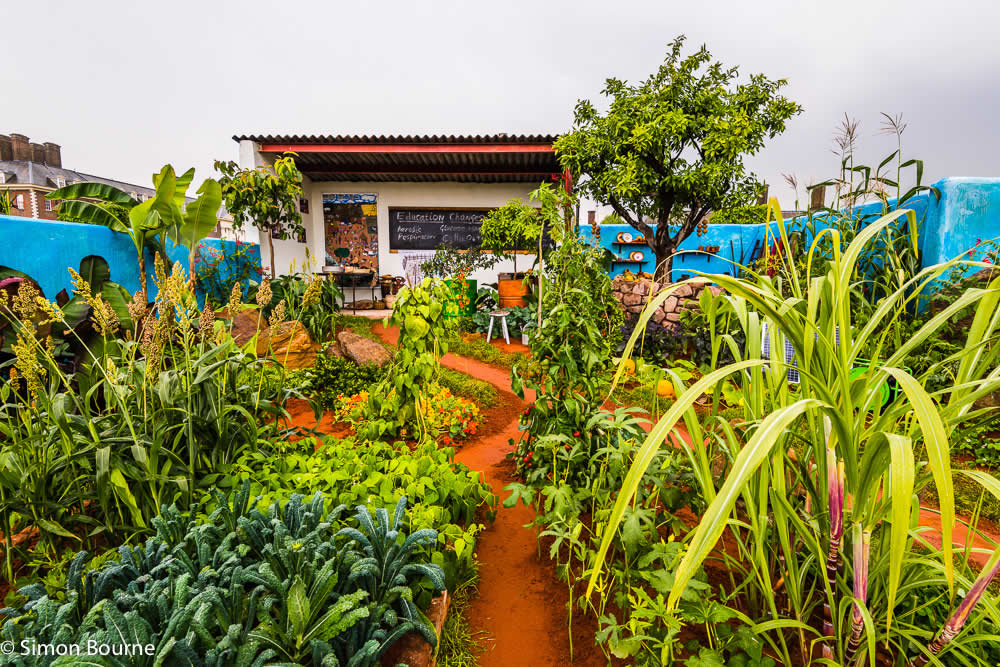 RHS Garden Chelsea Flower Show 2019 — CAMFED Garden 01 Chelsea Final Build Day 16