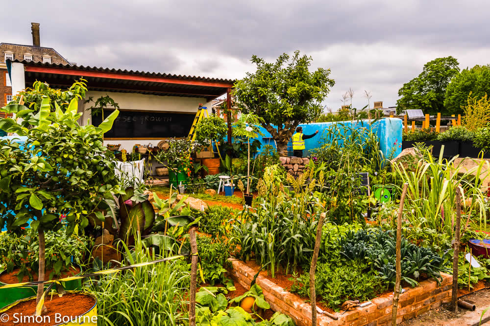 RHS Garden Chelsea Flower Show 2019 — CAMFED Garden 03 Chelsea Build Day 15