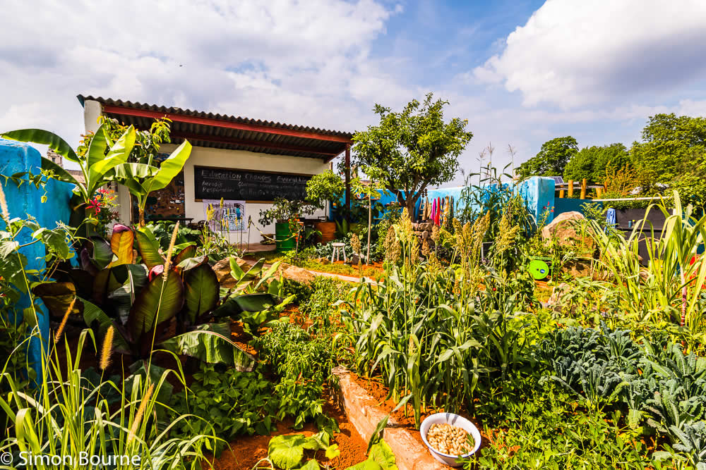 RHS Garden Chelsea Flower Show 2019 — CAMFED Garden 03 Chelsea Final Build Day 16