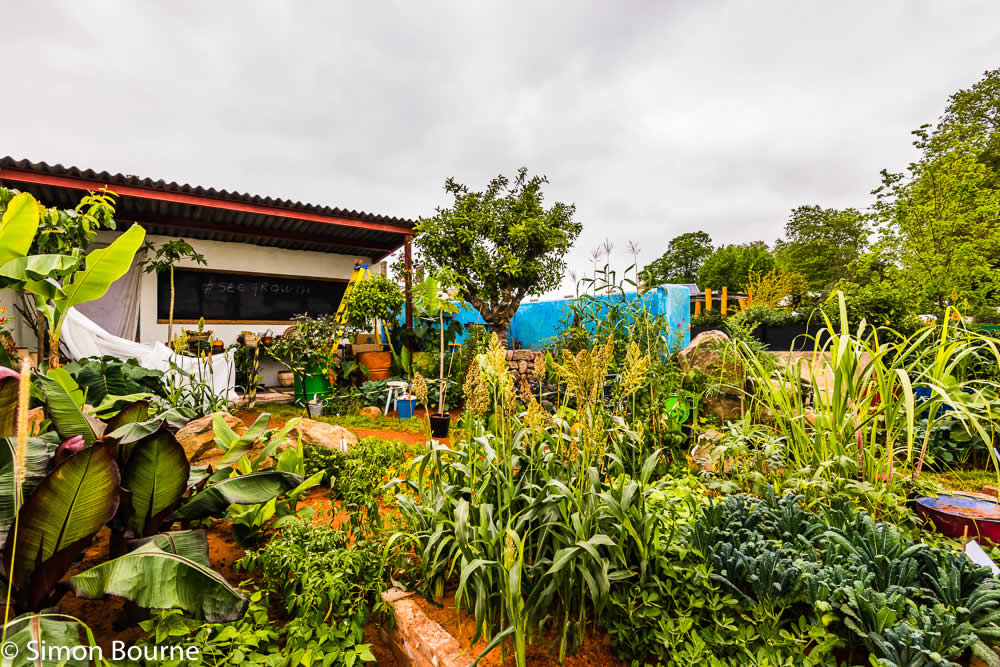 RHS Garden Chelsea Flower Show 2019 — CAMFED Garden 04 Chelsea Build Day 15