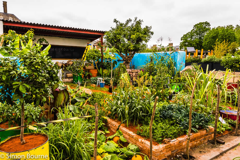 RHS Garden Chelsea Flower Show 2019 — CAMFED Garden 05 Chelsea Build Day 15