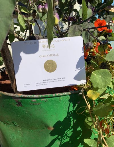 RHS Garden Chelsea Flower Show 2019 — CFS2019 Gold Medal 400x516 1