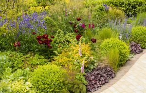 Front Garden — Ringwood Avenue 05 2015 300x191 1