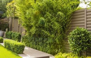 Contemporary Town Garden — contemporary garden design finchley jilayne rickards highview gardens 05 london 2017 1280 300x191 1