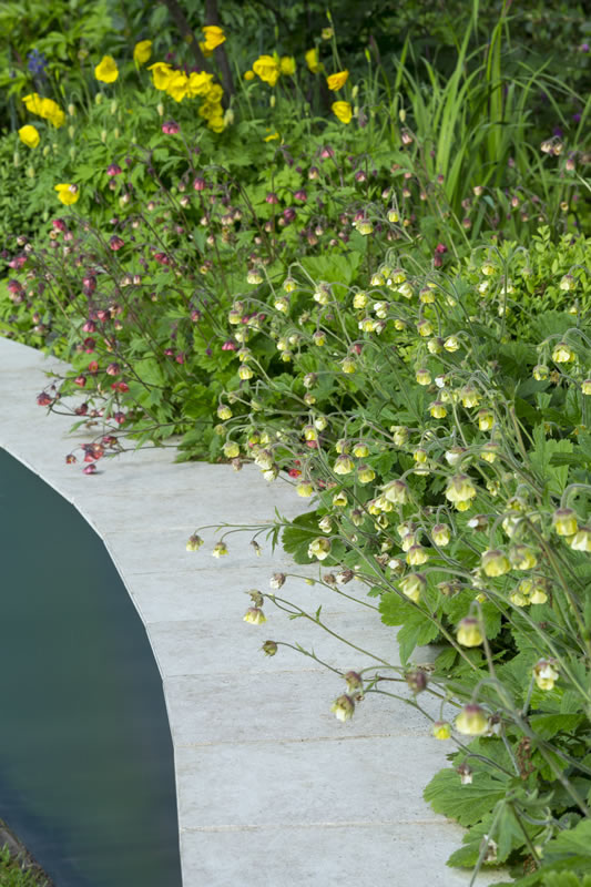 Woodland Garden — east finchley garden design 1189582 s 1