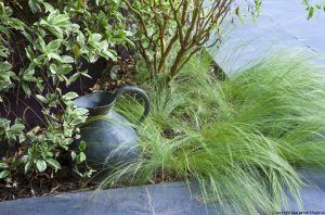 Small Contemporary Garden — garden and planting design north london jilayne rickards 1084329 300x198 1