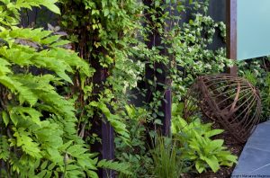 Small Contemporary Garden — garden and planting design north london jilayne rickards 1084334 300x198 1