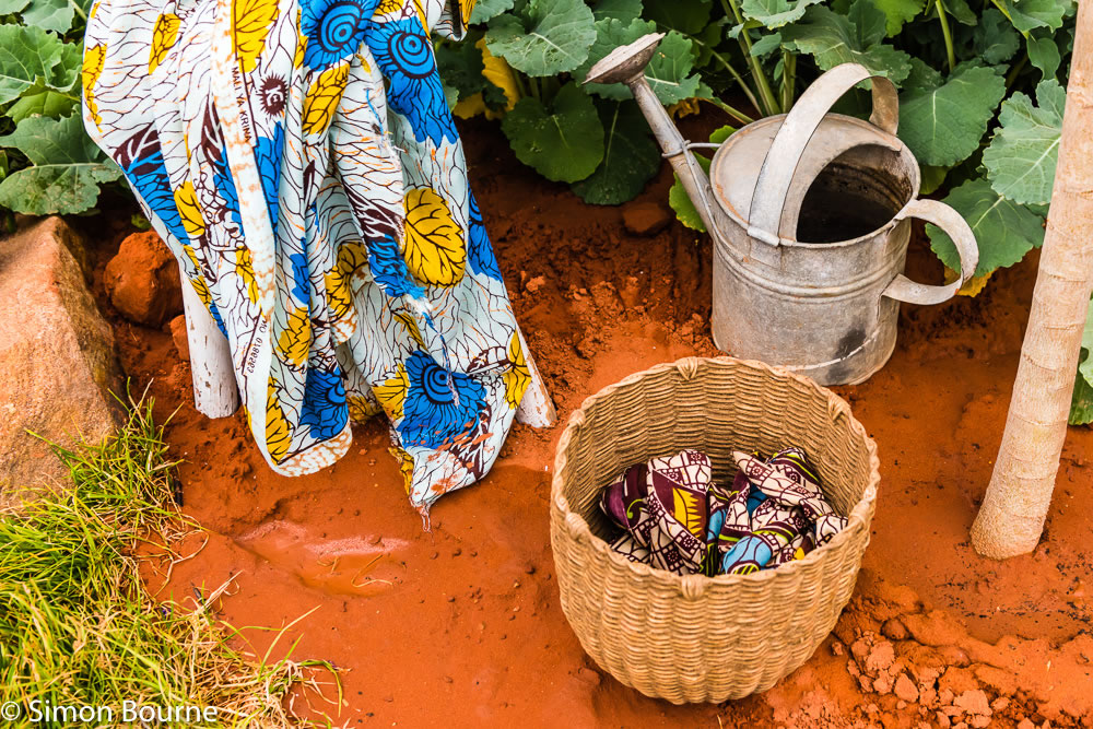 RHS Garden Chelsea Flower Show 2019 — garden design CAMFED Garden Details 01 Chelsea London 2019 small jilayne rickards