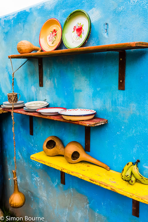 RHS Garden Chelsea Flower Show 2019 — garden design CAMFED Garden Details 07 Chelsea London 2019 small jilayne rickards