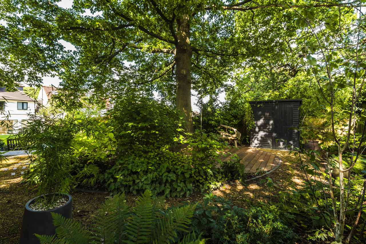 Front Garden — jilayne rickards garden design ringwood avenue 18 london 2017 london 1280