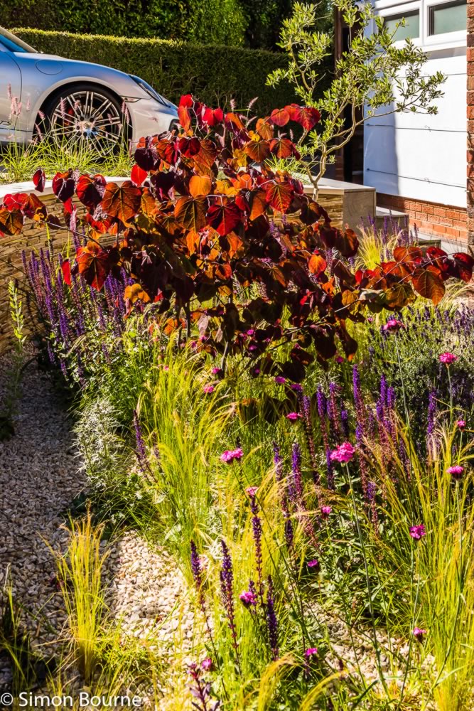 Contemporary Urban Garden — langton avenue 16 north london garden design 1200