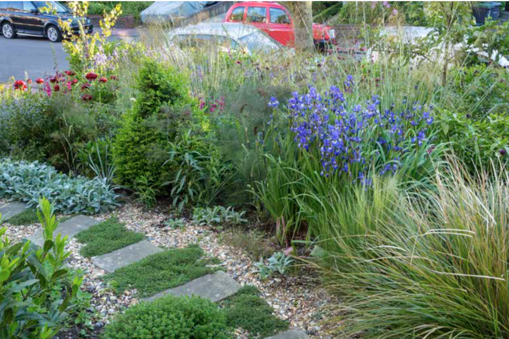 Jilayne Rickards Cornwall Garden Designer