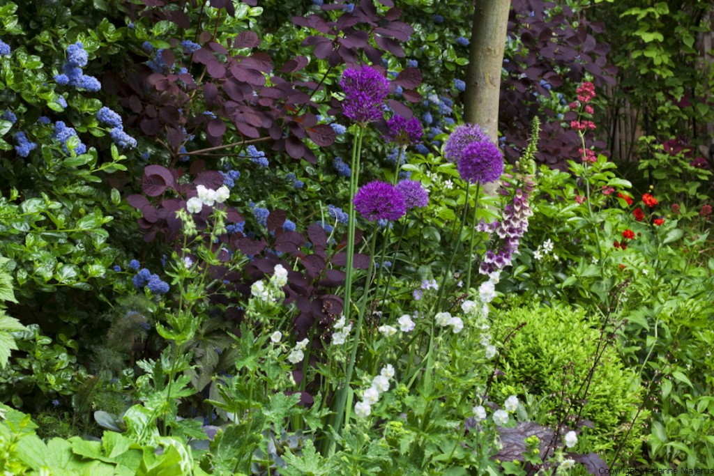 Jilayne Rickards Cornwall Garden Designer
