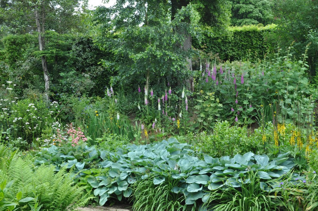 Jilayne Rickards Cornwall Garden Designer