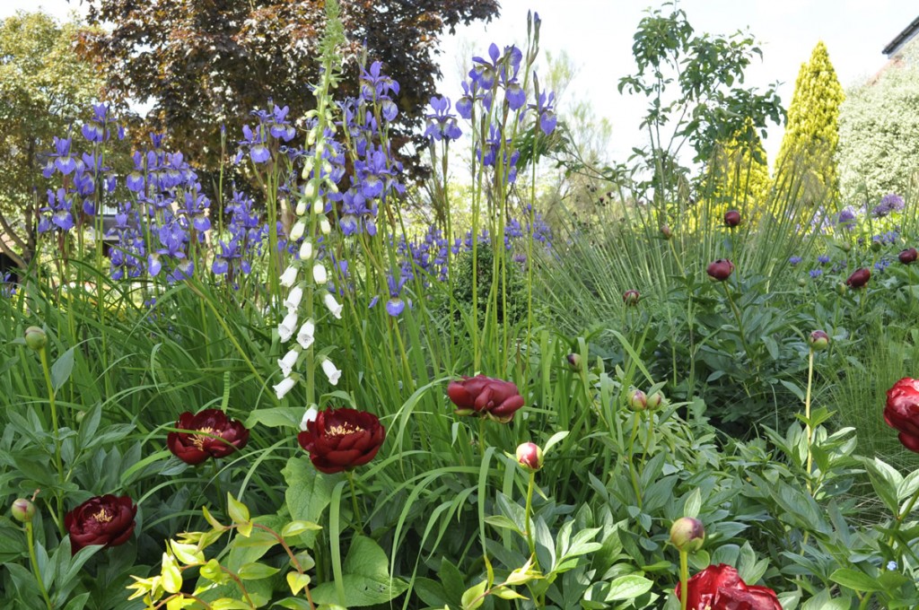 Jilayne Rickards Cornwall Garden Designer