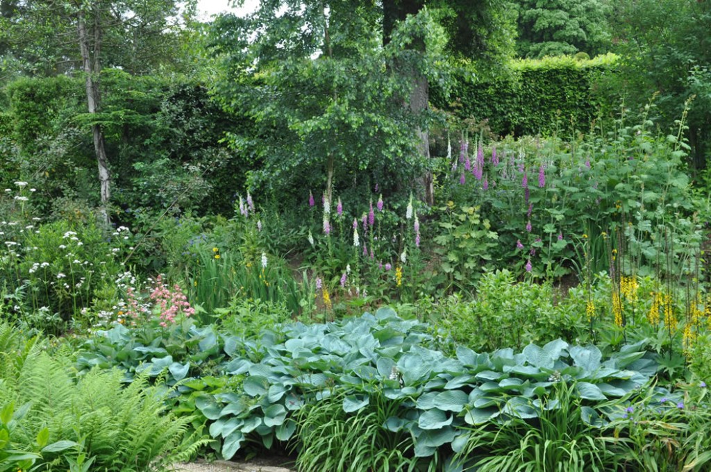 Jilayne Rickards Cornwall Garden Designer