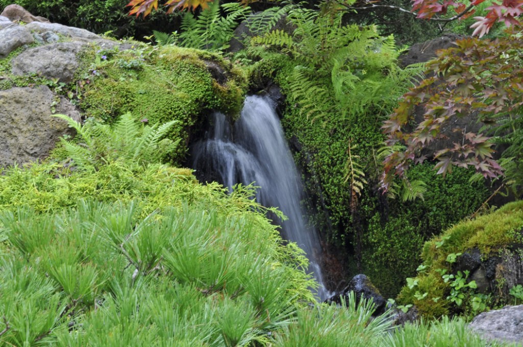 Jilayne Rickards Cornwall Garden Designer