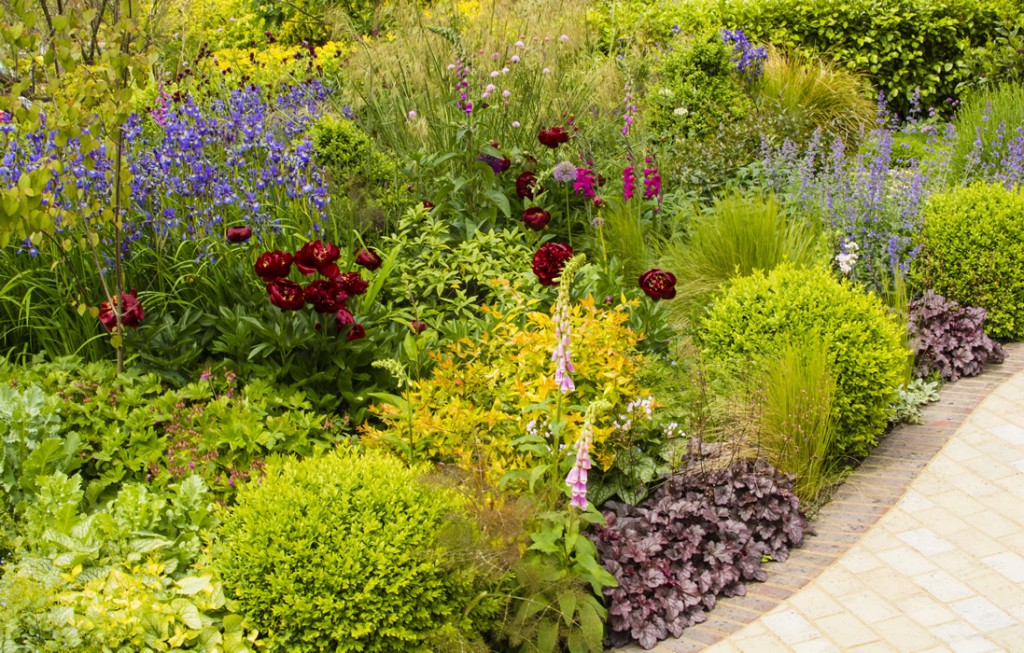Jilayne Rickards Cornwall Garden Designer