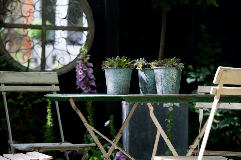 Jilayne Rickards Cornwall Garden Designer
