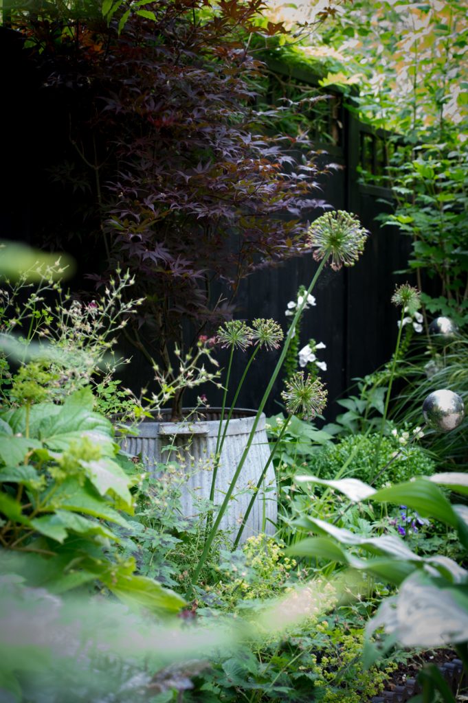 Jilayne Rickards Cornwall Garden Designer