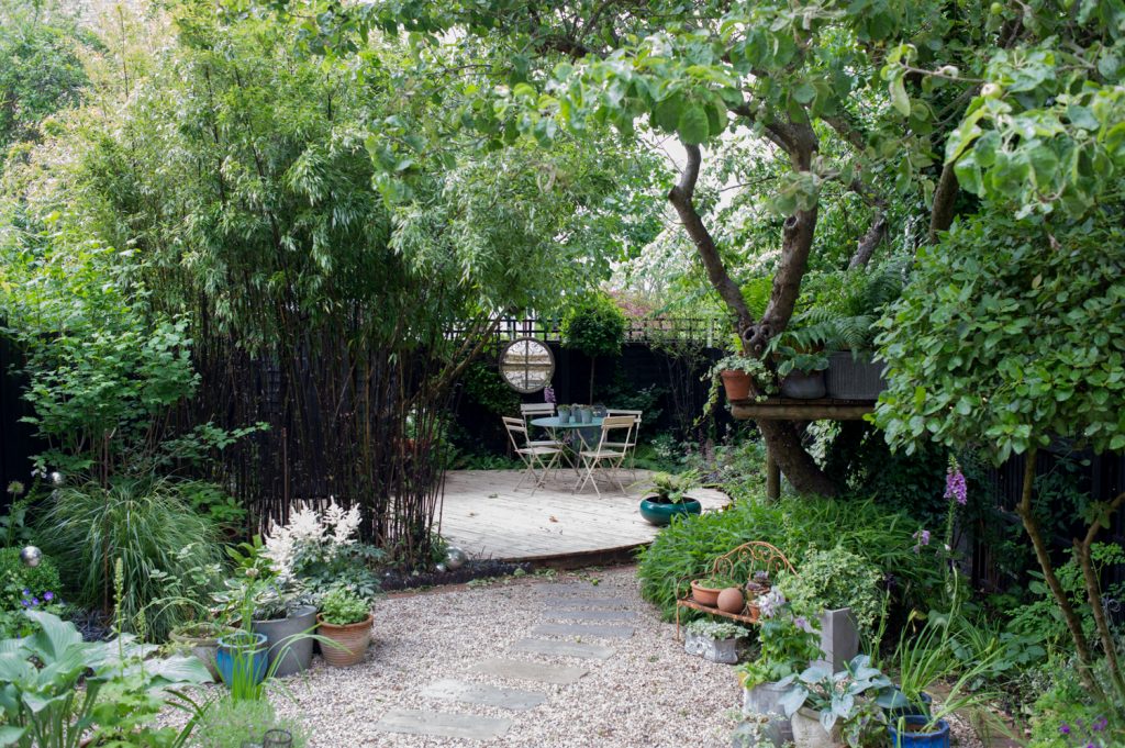 Jilayne Rickards Cornwall Garden Designer