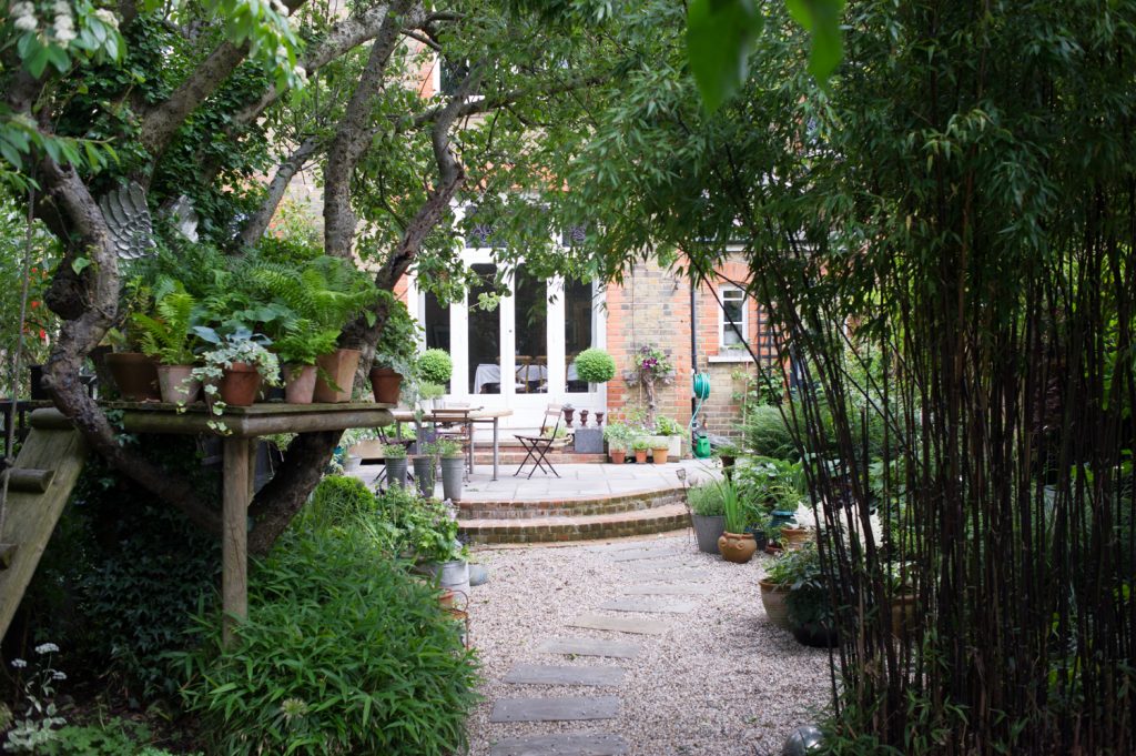 Jilayne Rickards Cornwall Garden Designer