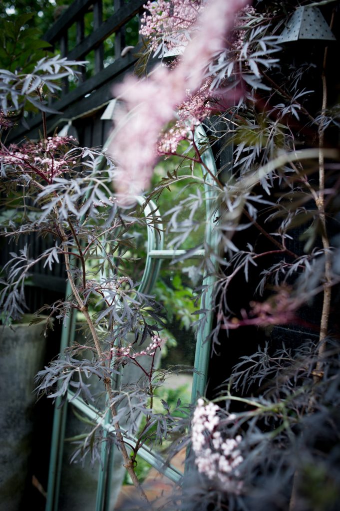 Jilayne Rickards Cornwall Garden Designer