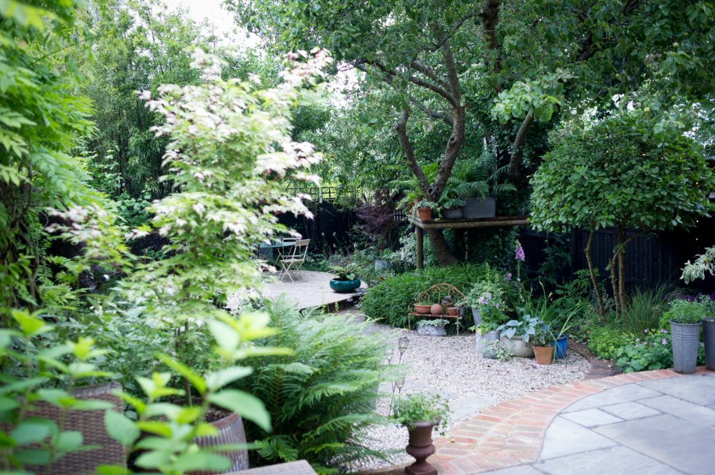 Jilayne Rickards Cornwall Garden Designer