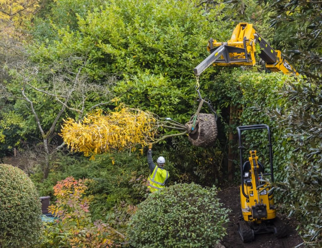 Jilayne Rickards Cornwall Garden Designer