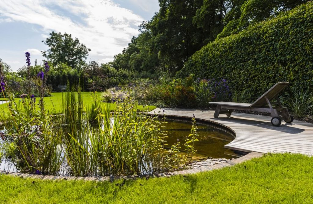 Jilayne Rickards Cornwall Garden Designer