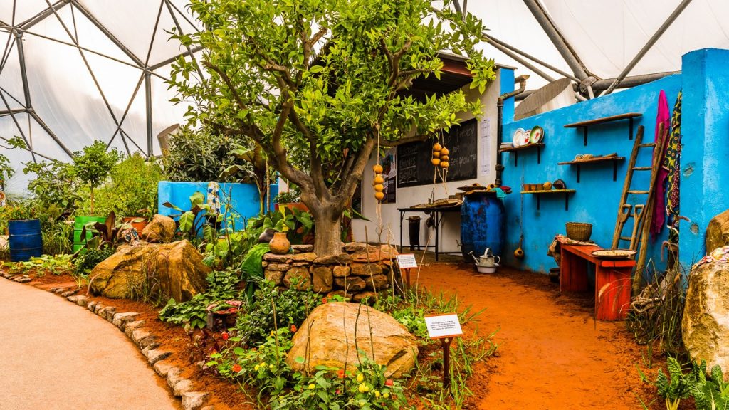 CAMFED garden designed by Jilayne Rickards at Chelsea