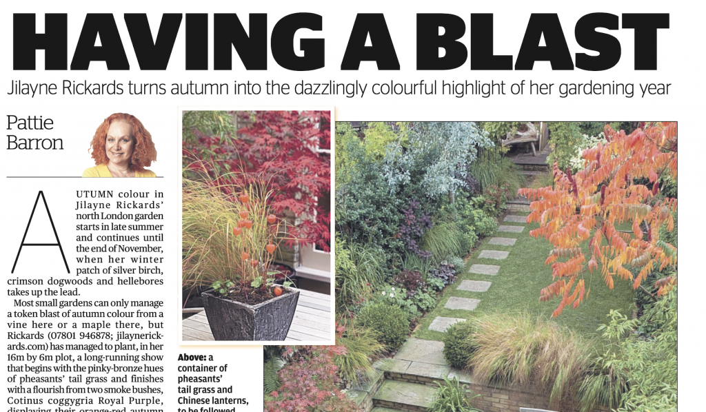 Jilayne Rickards Cornwall Garden Designer