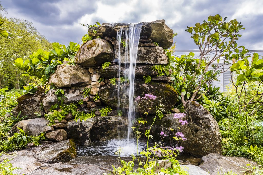 Jilayne Rickards Cornwall Garden Designer