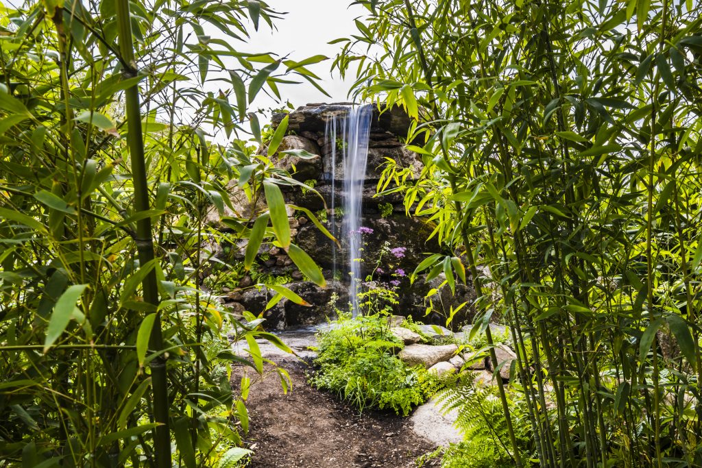 Jilayne Rickards Cornwall Garden Designer