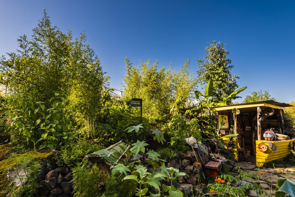 Jilayne Rickards Cornwall Garden Designer