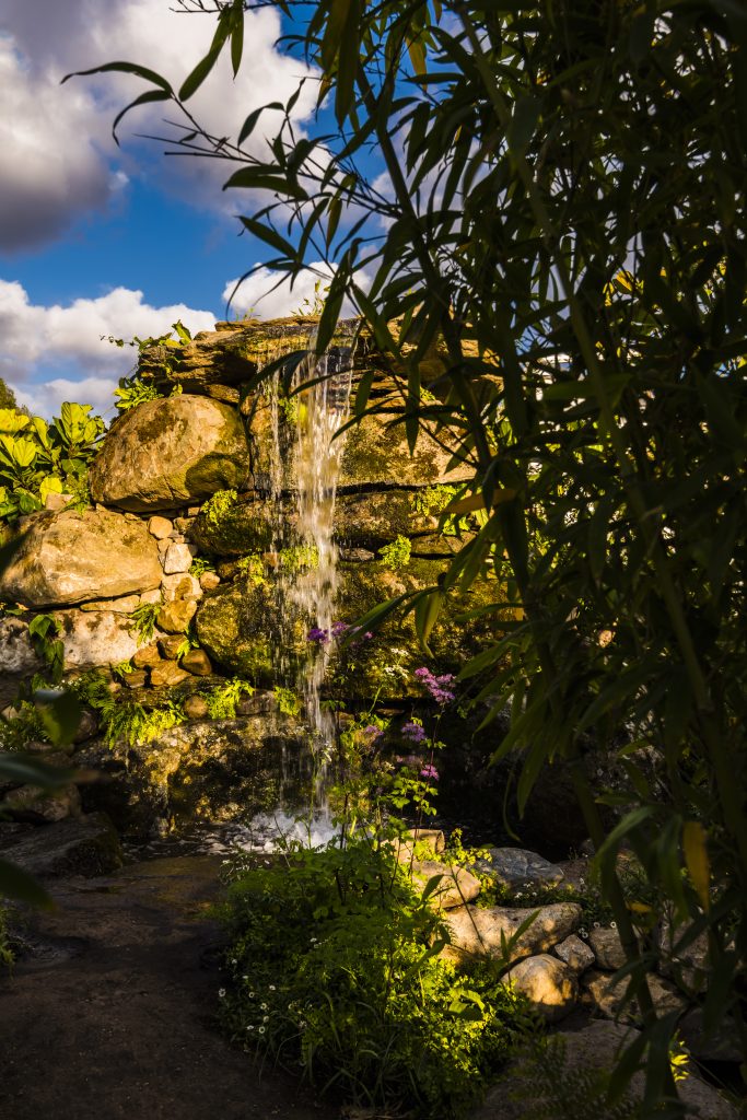 Jilayne Rickards Cornwall Garden Designer