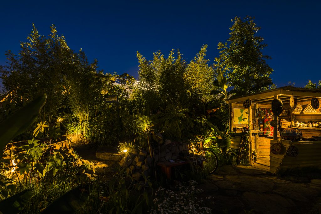 Jilayne Rickards Cornwall Garden Designer
