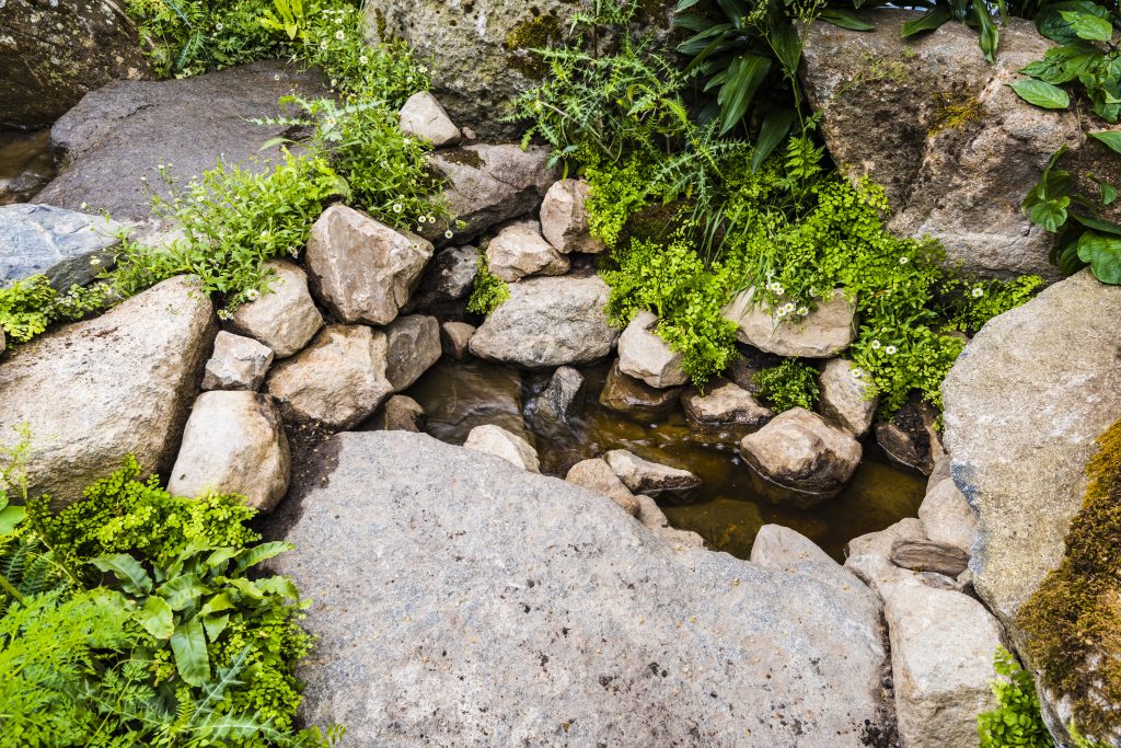 Jilayne Rickards Cornwall Garden Designer