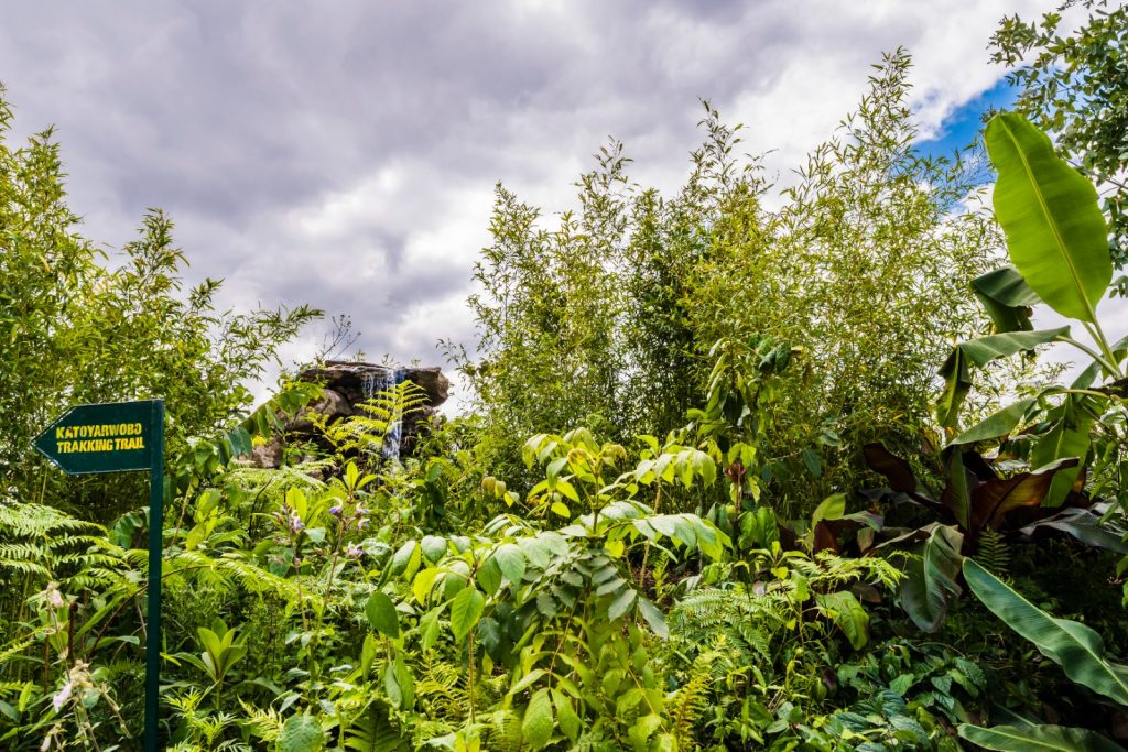 Jilayne Rickards Cornwall Garden Designer
