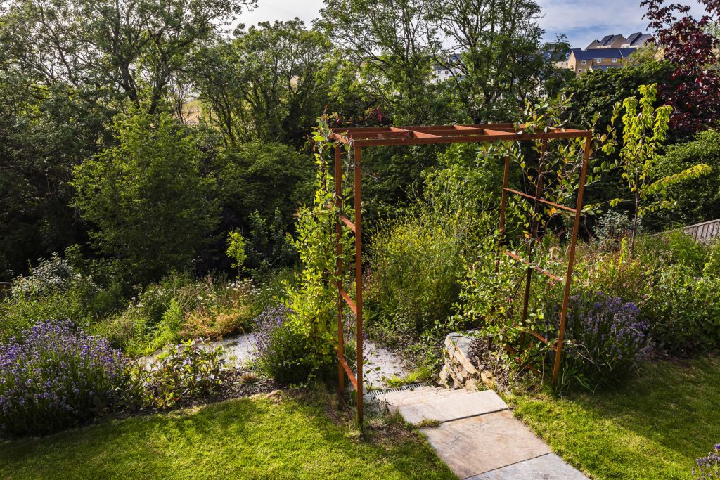 Jilayne Rickards Cornwall Garden Designer