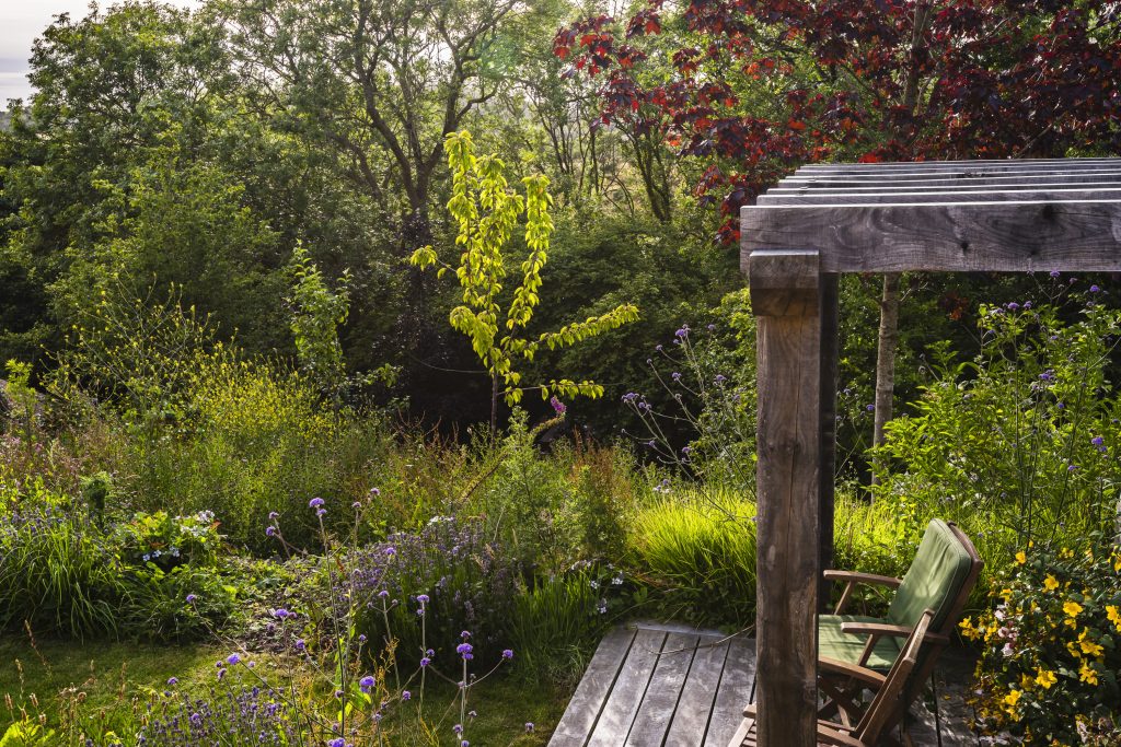 Jilayne Rickards Cornwall Garden Designer