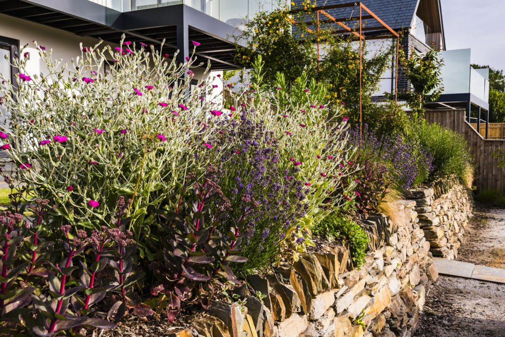 Jilayne Rickards Cornwall Garden Designer