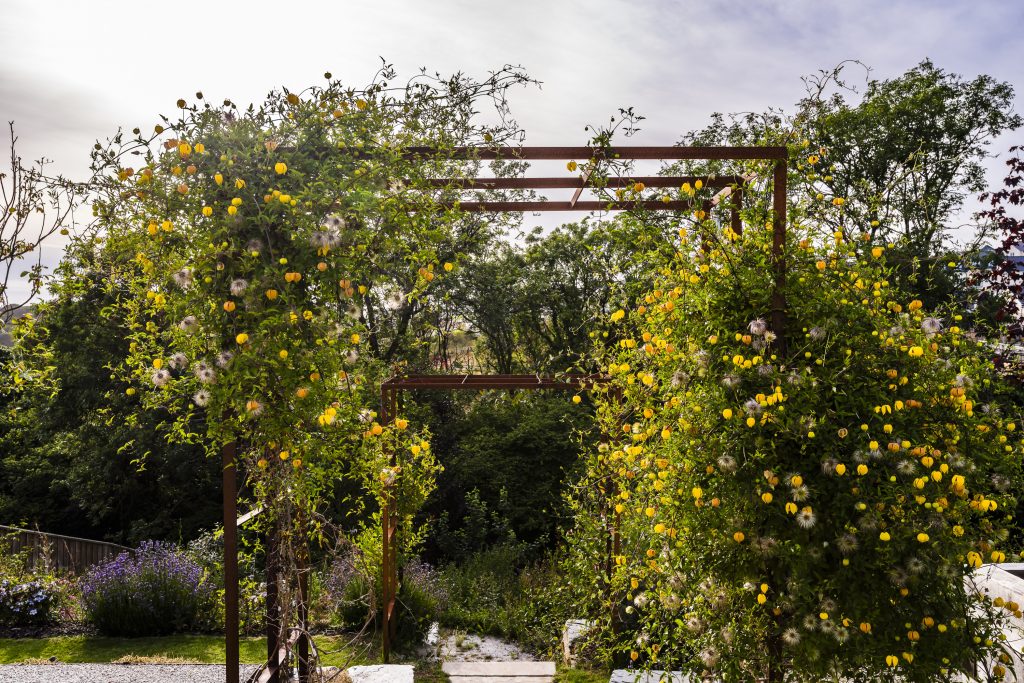 Jilayne Rickards Cornwall Garden Designer