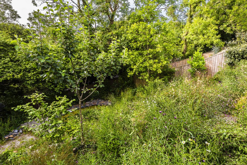 Jilayne Rickards Cornwall Garden Designer
