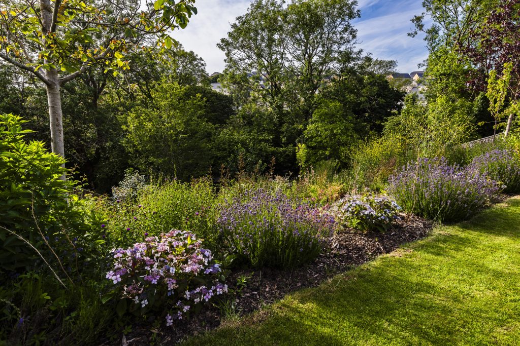 Jilayne Rickards Cornwall Garden Designer